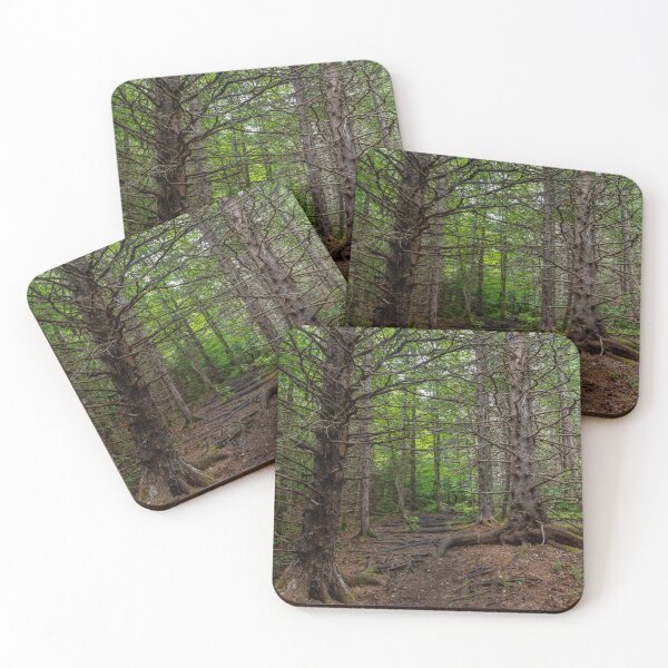 Item preview, Track and Tower Trail, Algonquin Park, Ontario 9 designed and sold by jrtwynam.