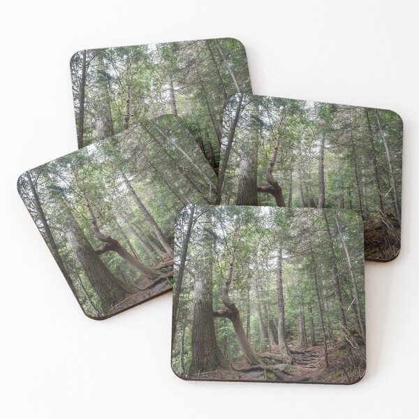 Item preview, Track and Tower Trail, Algonquin Park, Ontario 10 designed and sold by jrtwynam.