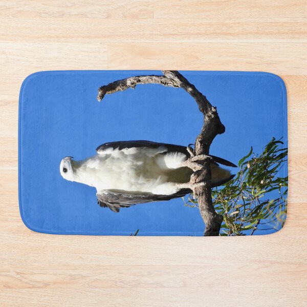 Item preview, White-bellied Sea eagle majestic stare designed and sold by Mark Grimsley.
