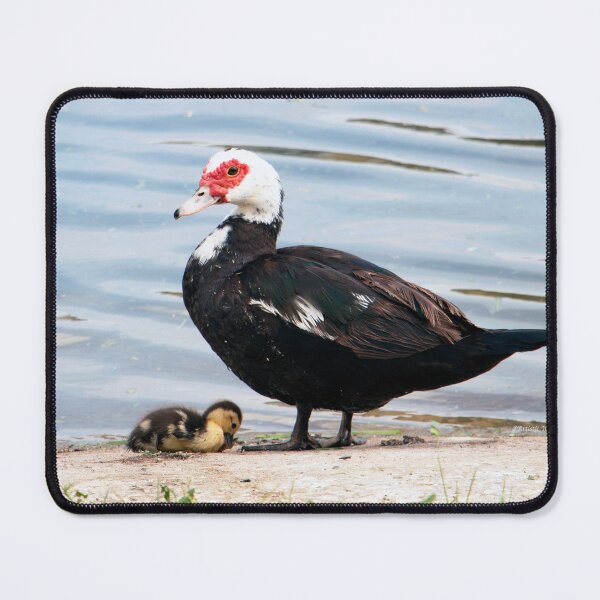 Item preview, Mother & Child designed and sold by Artistic Imagery by TC.