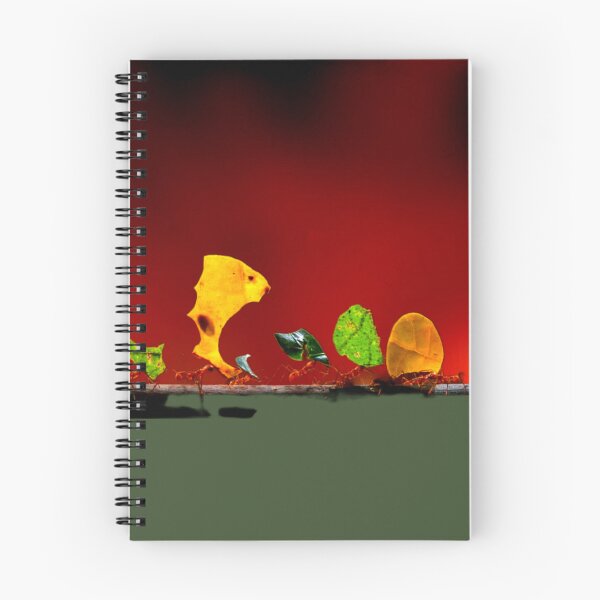 Item preview, Leaf Cutter Ants designed and sold by ontological.