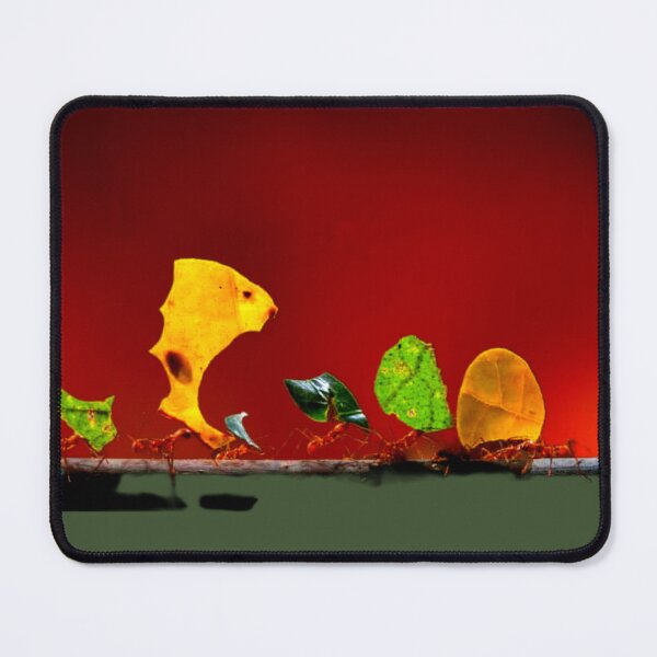 Item preview, Leaf Cutter Ants designed and sold by ontological.