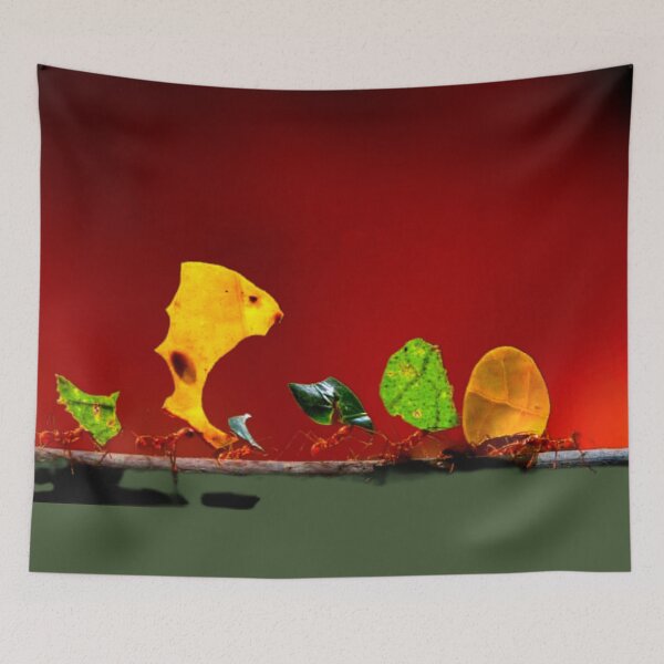 Item preview, Leaf Cutter Ants designed and sold by ontological.