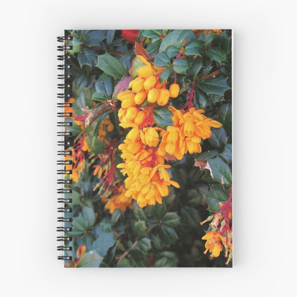 Item preview, Berberis darwinii  designed and sold by lezvee.