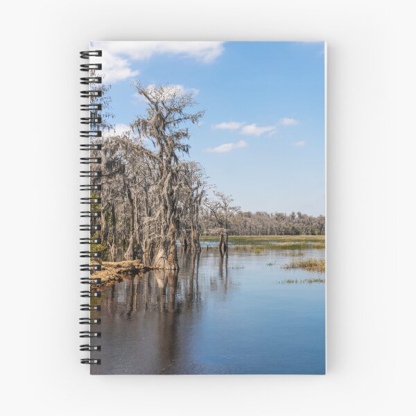 Item preview, Lake Louisa State Park, Florida 9 designed and sold by jrtwynam.