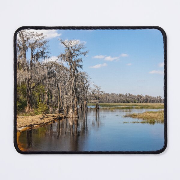 Item preview, Lake Louisa State Park, Florida 9 designed and sold by jrtwynam.