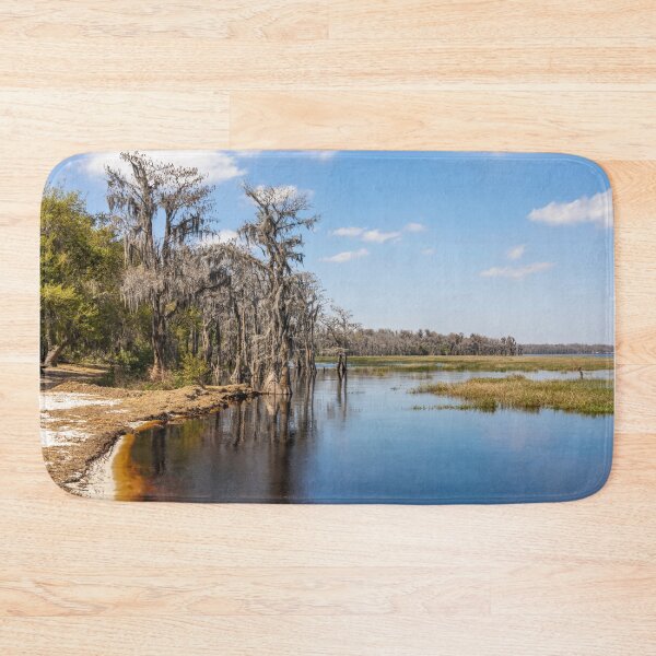 Item preview, Lake Louisa State Park, Florida 9 designed and sold by jrtwynam.