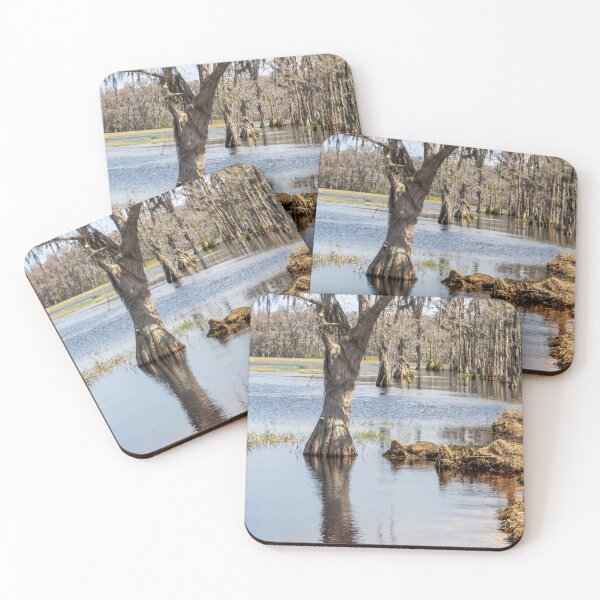 Item preview, Lake Louisa State Park, Florida 10 designed and sold by jrtwynam.