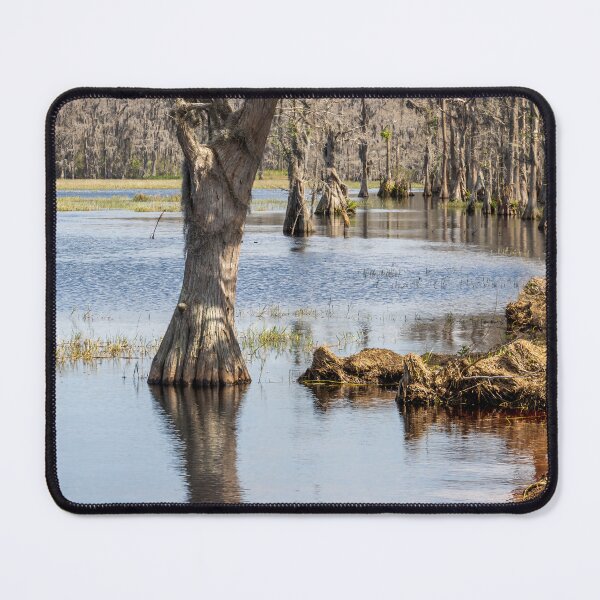Item preview, Lake Louisa State Park, Florida 10 designed and sold by jrtwynam.