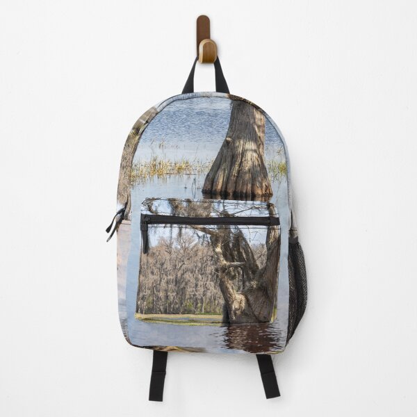 Item preview, Lake Louisa State Park, Florida 10 designed and sold by jrtwynam.