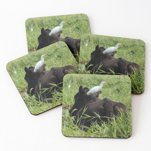 Item preview, Egret standing on Black Cow designed and sold by Artistic Imagery by TC.
