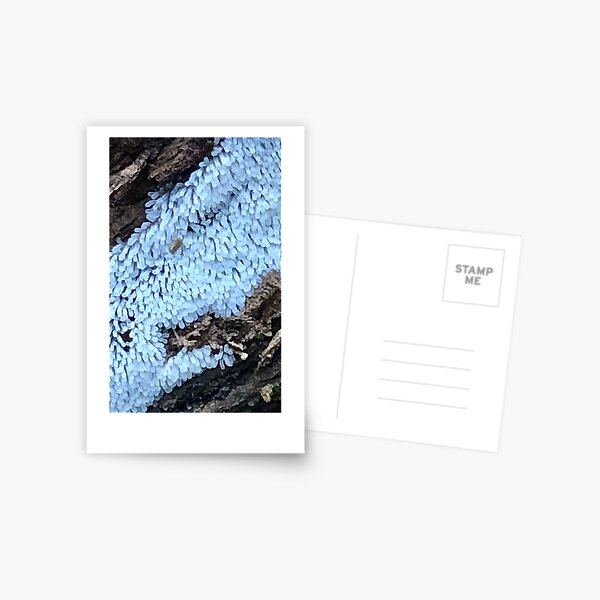 Vista previa del artículo con la obra «Moho mucilaginoso de coral», diseñado y vendido por B4theend260.