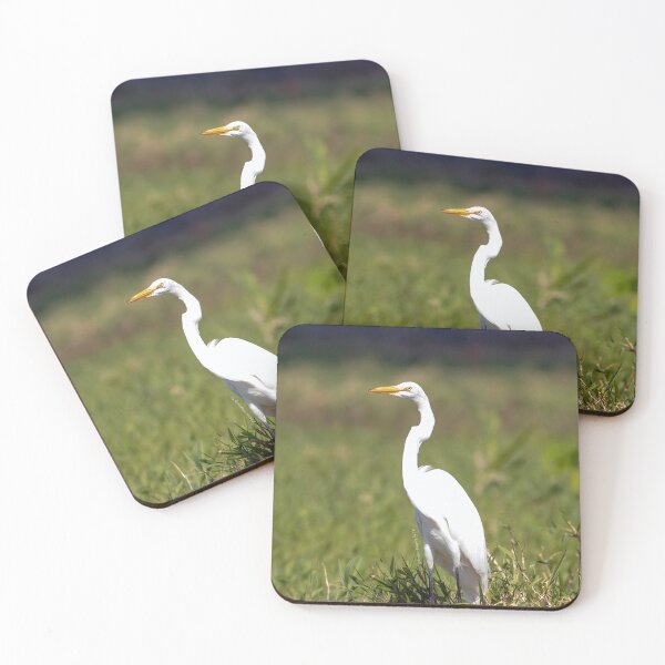 Item preview, Egret Standing in Field designed and sold by Artistic Imagery by TC.