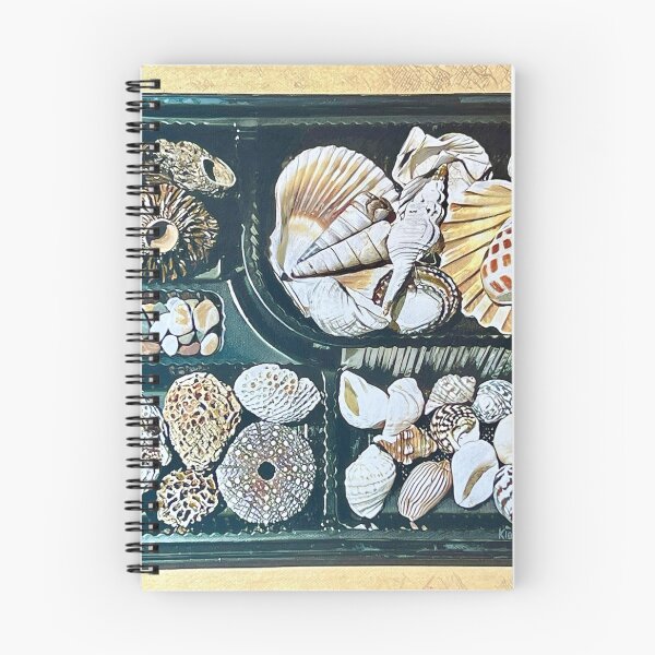 Item preview, BEACHCOMBER'S BENTO BOX designed and sold by Richard Klekociuk.