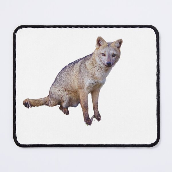 Item preview, Little Fox designed and sold by MAC2009.