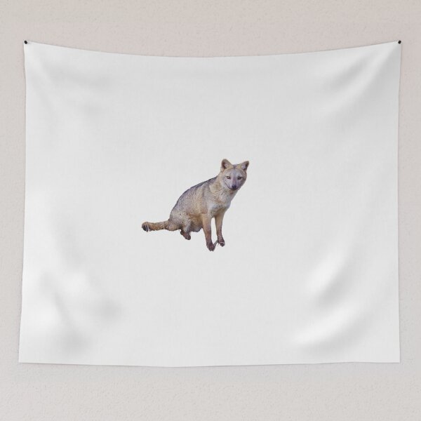 Item preview, Little Fox designed and sold by MAC2009.