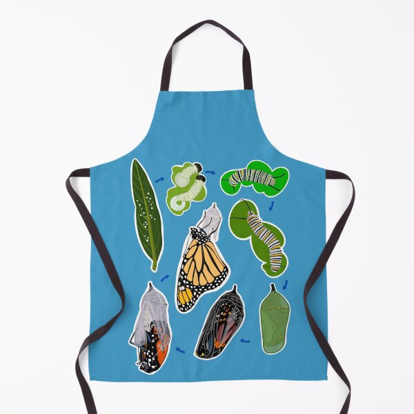 Item preview, Monarch Butterfly Life Cycle designed and sold by Cherie Brunetti.