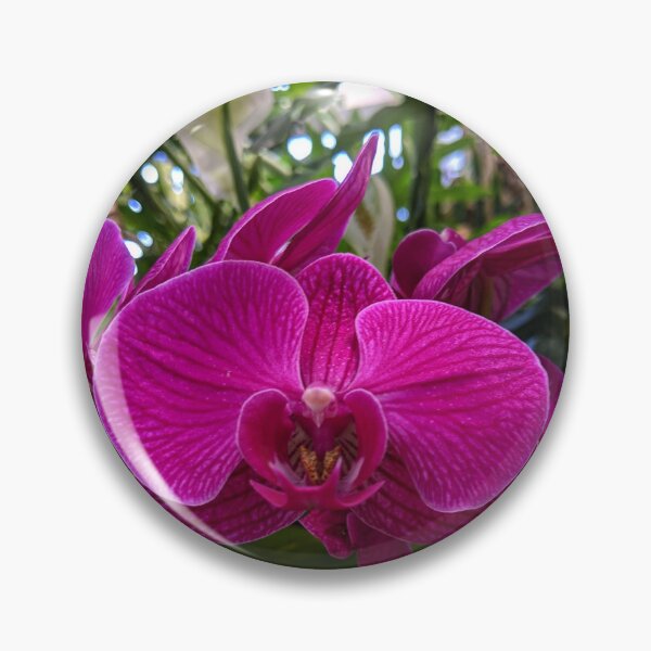 Artikelvorschau, Orchideenoase entworfen und verkauft von TSinclairArt.