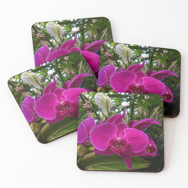 Item preview, Orchid Oasis designed and sold by TSinclairArt.