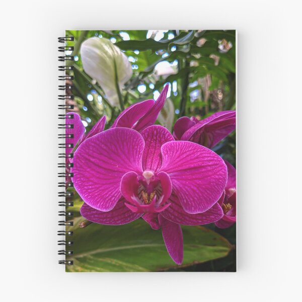 Item preview, Orchid Oasis designed and sold by TSinclairArt.