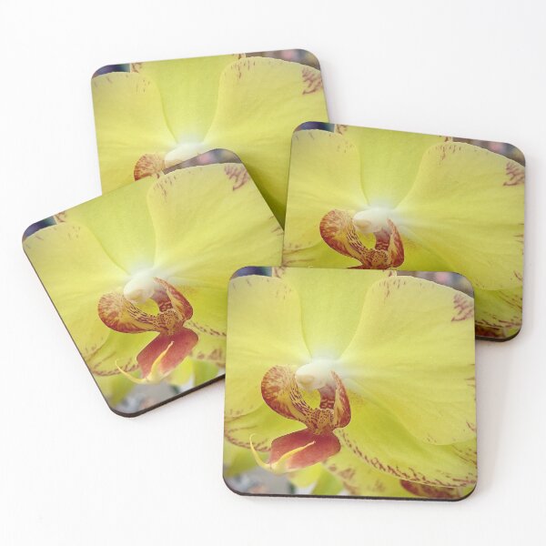 Item preview, Yellow Moth Orchid designed and sold by Betsy Phillips.