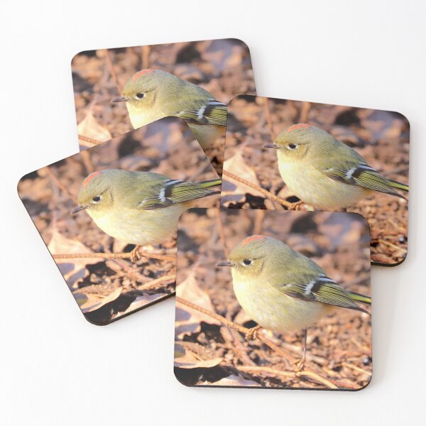Item preview, Ruby-crowned kinglet designed and sold by Parks and X.