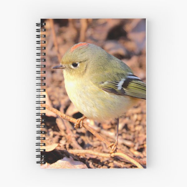 Item preview, Ruby-crowned kinglet designed and sold by Parks and X.