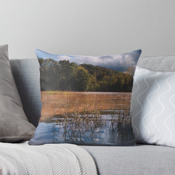 Item preview, Anything But Tranquil designed and sold by Jim Love.
