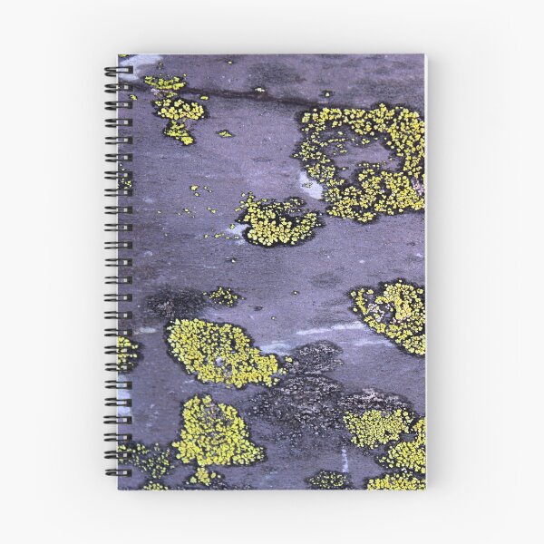 Item preview, lichen designed and sold by KathleenDawson.