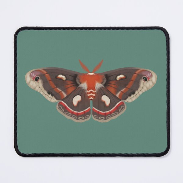 Item preview, cecropia moth designed and sold by cascinas.