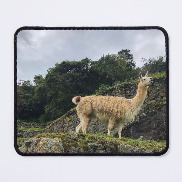 Item preview, Llama in Machu Pichu, Cusco Peru designed and sold by Ricar_Doe.
