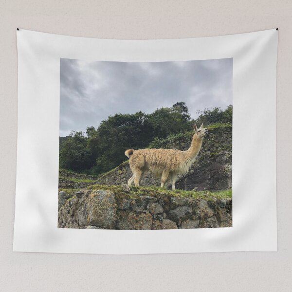 Item preview, Llama in Machu Pichu, Cusco Peru designed and sold by Ricar_Doe.