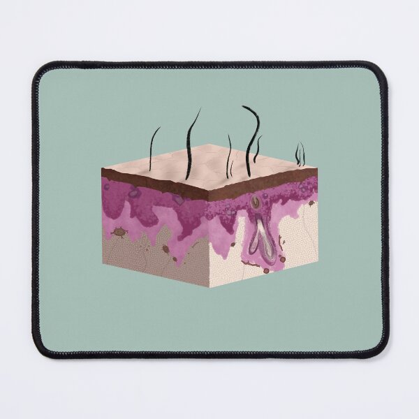Item preview, Skin Histology 2.0 designed and sold by lifewithjuan.