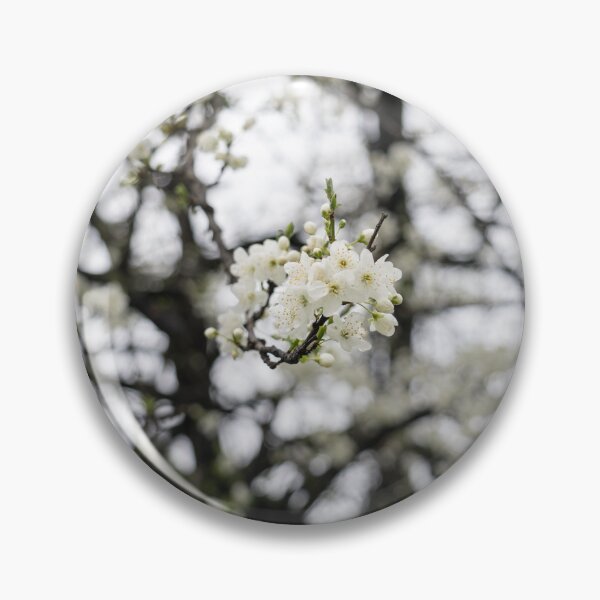 Item preview, Delicate Springtime Blossoms in a Dreamy Frame of Branches designed and sold by Georgia Mizuleva.