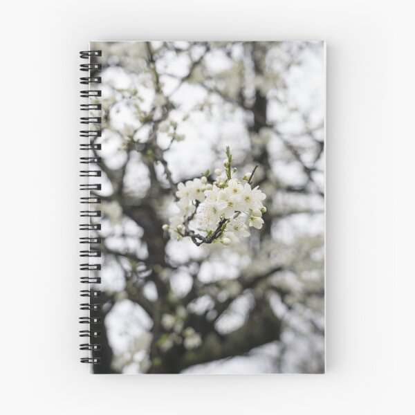 Item preview, Delicate Springtime Blossoms in a Dreamy Frame of Branches designed and sold by Georgia Mizuleva.