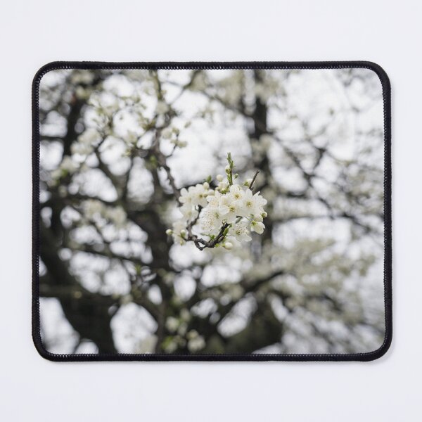 Item preview, Delicate Springtime Blossoms in a Dreamy Frame of Branches designed and sold by Georgia Mizuleva.