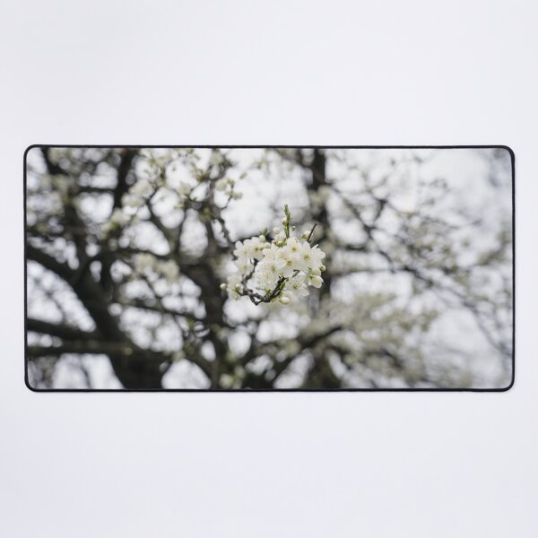 Item preview, Delicate Springtime Blossoms in a Dreamy Frame of Branches designed and sold by Georgia Mizuleva.