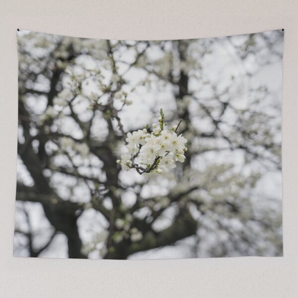 Item preview, Delicate Springtime Blossoms in a Dreamy Frame of Branches designed and sold by Georgia Mizuleva.