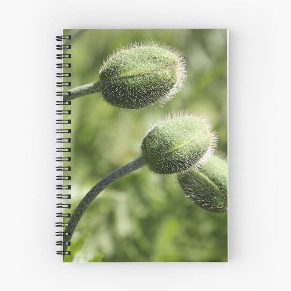 Item preview, Ready For the Blooms  designed and sold by Marie  Cardona.