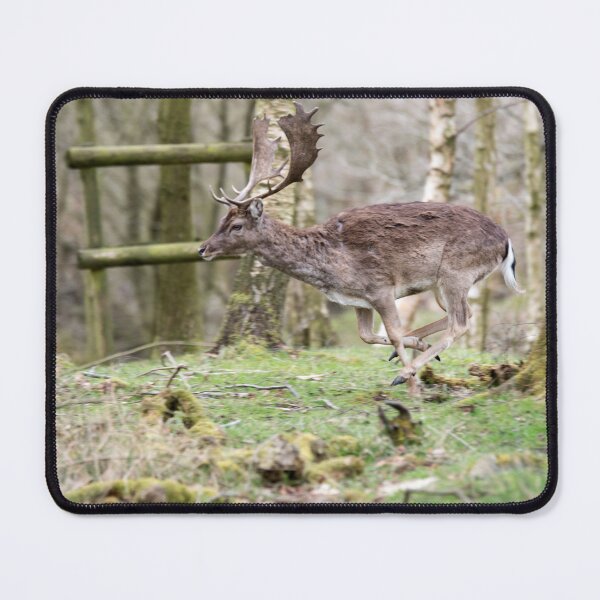 Item preview, Majestic Deer in Motion designed and sold by David Patterson.