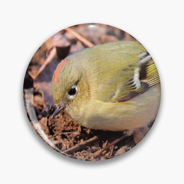Item preview, Kinglet  designed and sold by Parks and X.