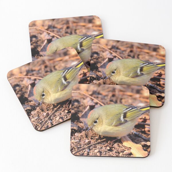 Item preview, Kinglet  designed and sold by Parks and X.