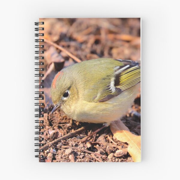 Item preview, Kinglet  designed and sold by Parks and X.