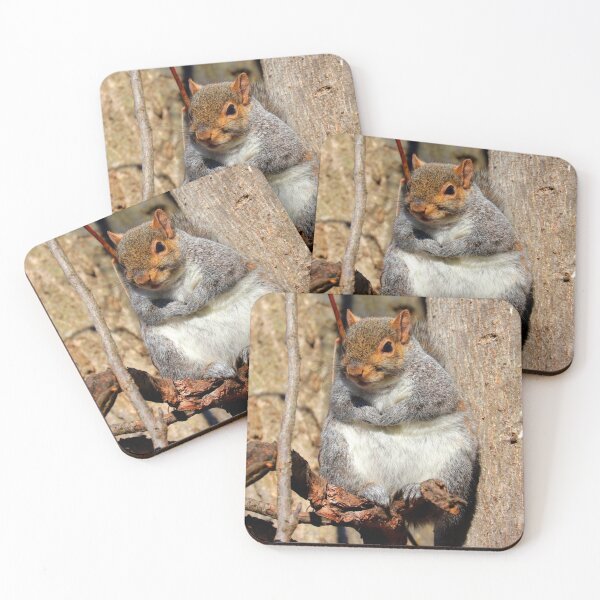 Item preview, Squirrel  designed and sold by Parks and X.