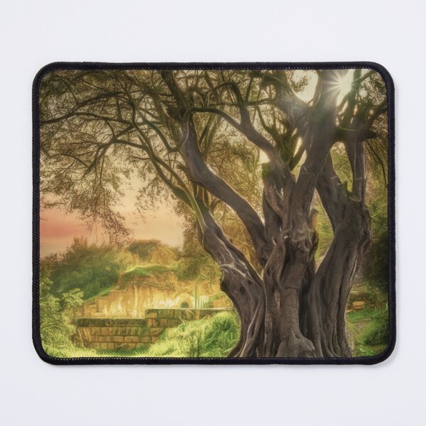 Item preview, The tree of Ein Hemed  designed and sold by Shury Vision Art.