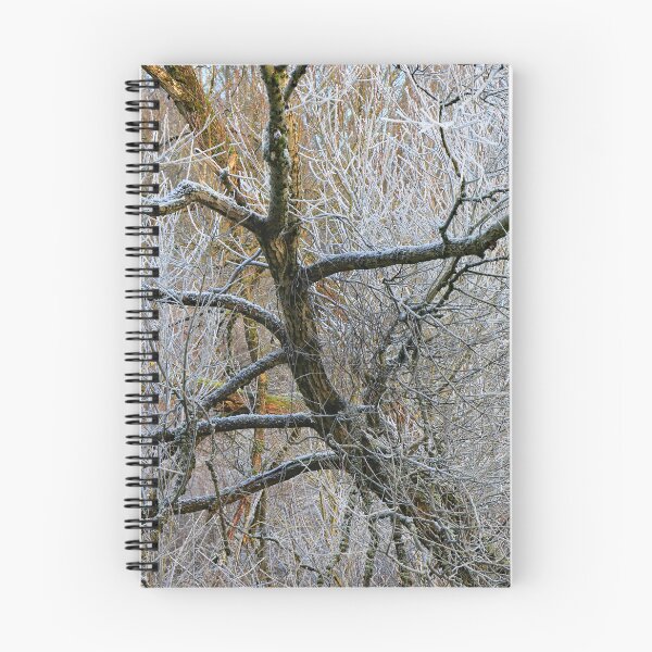 Item preview, WINTER WOODLAND - DANCER  designed and sold by MIKESCOTT.