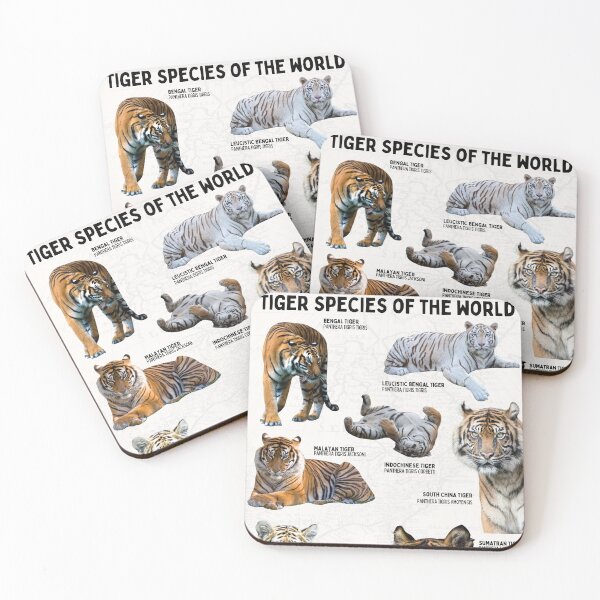Item preview, Scientific Tiger Species of the World Biological Wildlife Diagram Vintage Map designed and sold by wesleykshaver.