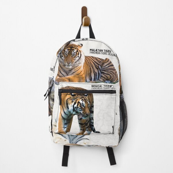 Item preview, Scientific Tiger Species of the World Biological Wildlife Diagram Vintage Map designed and sold by wesleykshaver.
