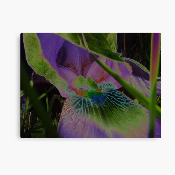 Item preview, from the iris designed and sold by foggynotion.