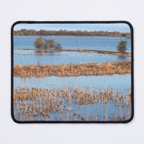 Item preview, Blue Wetland Habitat designed and sold by ADCImages.